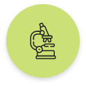 Curso Intensivo de Biologia e Geologia